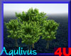 4u Aqulivus Tree 8