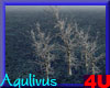 4u Aqulivus Tree 13