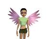 Pink Cherub Wings