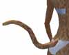 Animated Leopard Tail