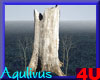 4u Aqulivus Tree 17