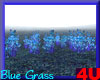 4u Blue Grass Flower 2