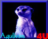 4u Aqulivus Animal 02