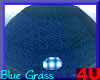 4u-Blue-Grass-House-2