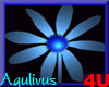 4u Aqulivus Flower 21