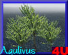 4u Aqulivus Tree 9
