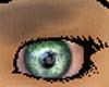 Emerald Shimmer