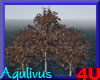 4u Aqulivus Tree 14
