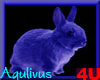 4u Aqulivus Animal 01
