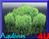 4u Aqulivus Tree 6