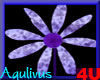 4u Aqulivus Flower 07