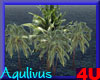 4u Aqulivus Tree 2