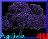 4u Aqulivus Flower 15