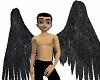 Raven's Wings
