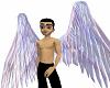 Pastel Rainbow Wings
