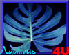4u Aqulivus Flower 14