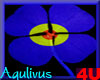 4u Aqulivus Flower 16