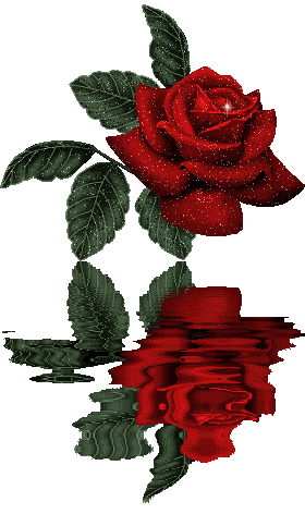 sticker_3336329_4193289