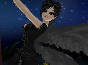 Fly Through The Star Lite Night - 