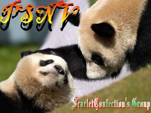 group image for Pandas, Samuris, Ninjas, and Vampires