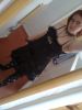 cutegoth - 