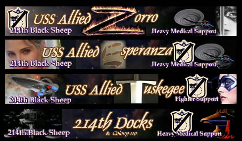 The SF/VHC 214th Black Sheep Fleet