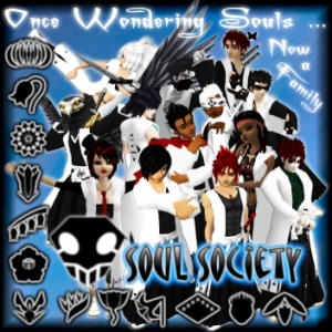 soul society portrayal