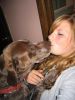 I kissed my dog,and i liked it! - 