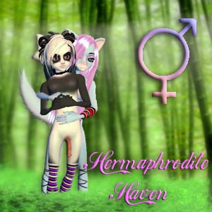 group image for Hermaphrodite Havens