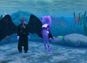  - coral reef