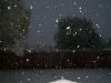 night fall - 