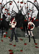 Under the rose rain with Windameii :) - 