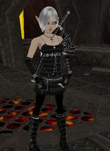 Light Armor Set