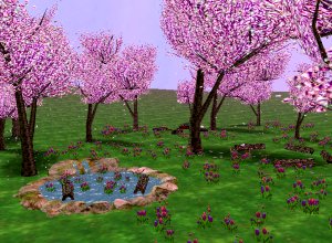 Splidges+Tulip+Garden