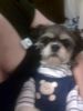ruby - she soo fugly i love her lol