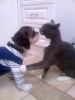 my bitch and hers lol - ruby & belly luv luv licka licka lol