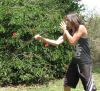 another slash - 
