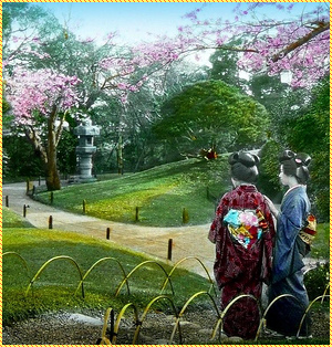 group image for Everything about the way of a Geisha