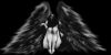 ANGEL - 
