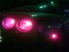 ass my vette in the night - 