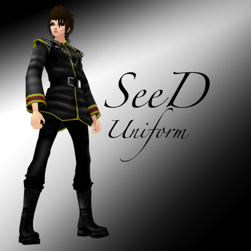 SeeDUniform