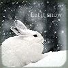 i luv rabbits - 