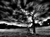 shadow world - 