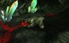 Bear Form - 