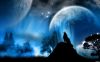 loup au clair de lune - 