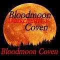 group image for Bloodmoon Palace