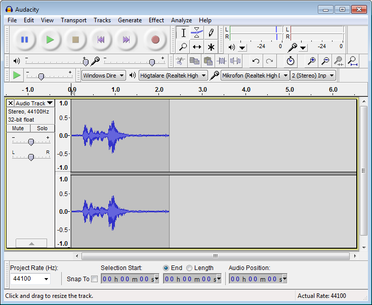 When you start recording a new track with audio will appear. This track