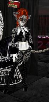 my outfit
