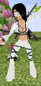 ninja white
